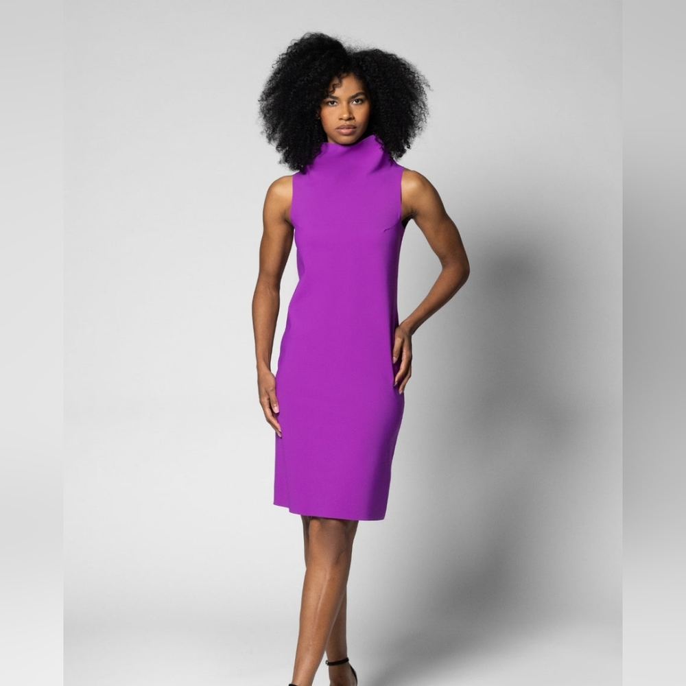 Maria Pinto Funnel Neck dress NWT